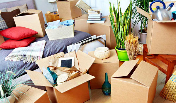 History of Packers and Movers Industry